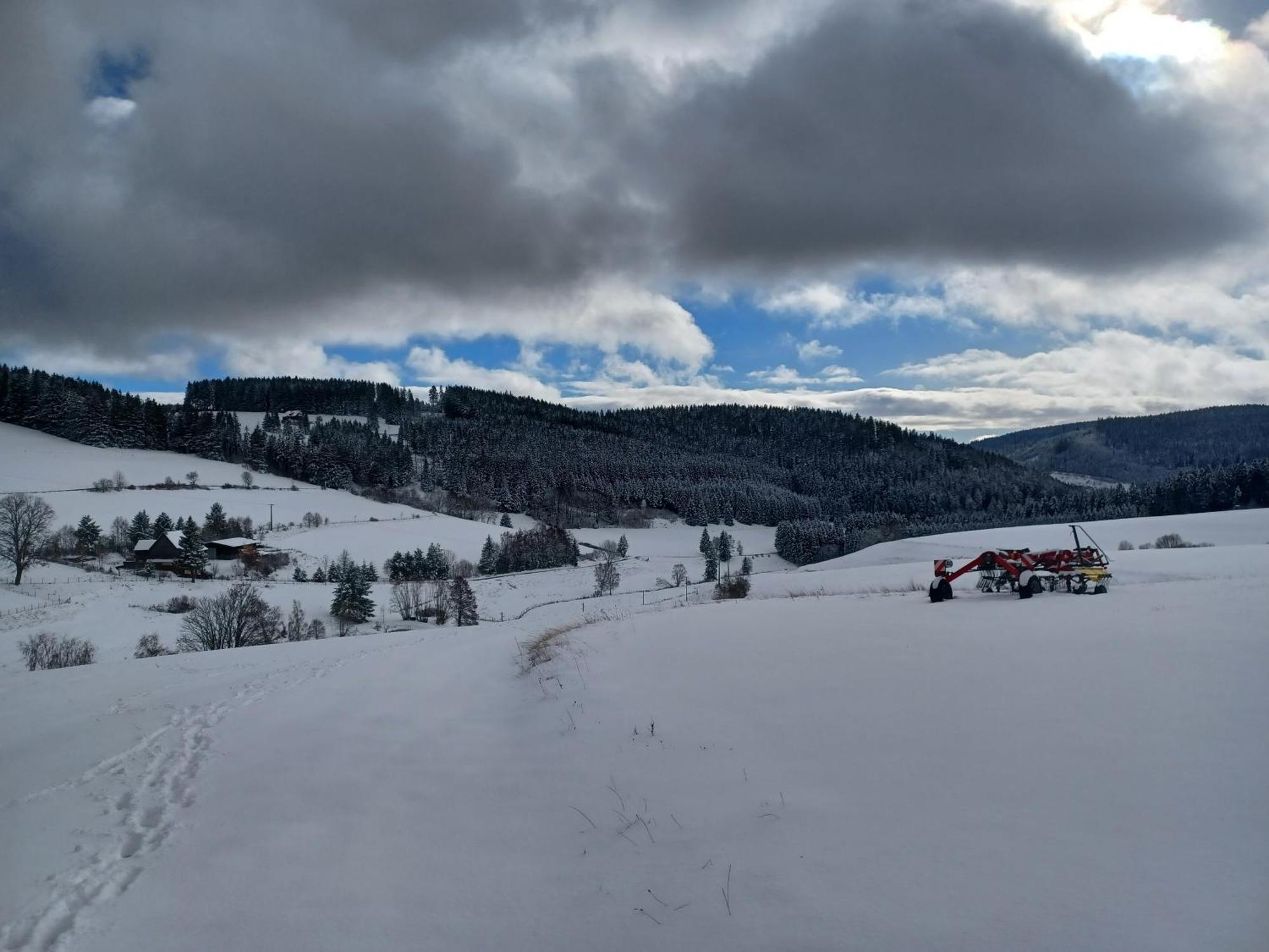 Blockhaustraum Βίλα Titisee-Neustadt Εξωτερικό φωτογραφία